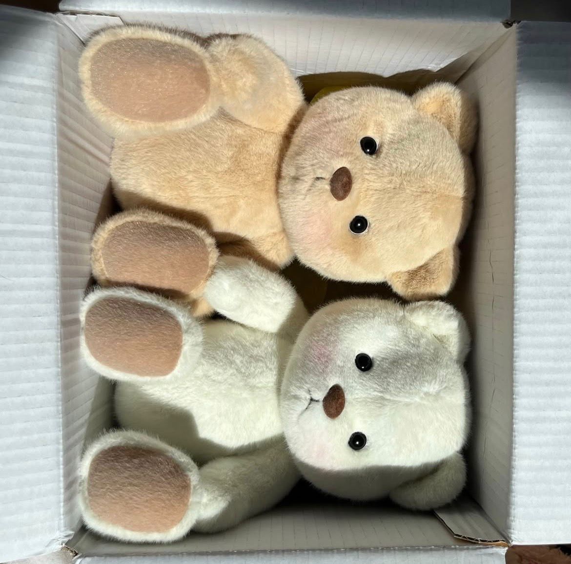 Drachen Plüschie grün