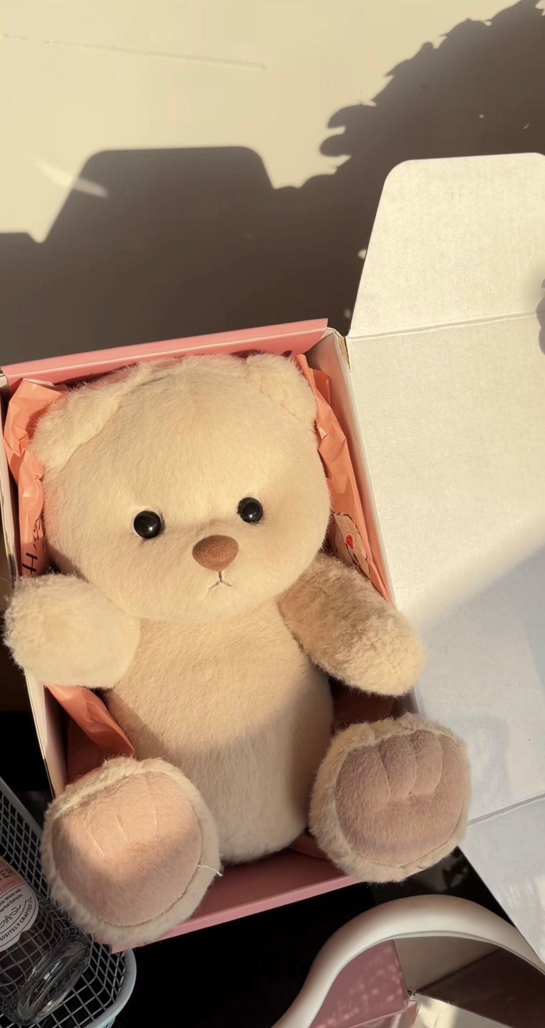 Drachen Plüschie grün